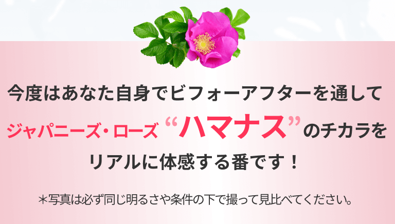 今度はあなた自身でビフォーアフターを通してジャパニーズ・ローズ“ハマナス”のチカラをリアルに体感する番です！